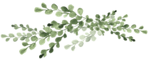 untitled design (1)